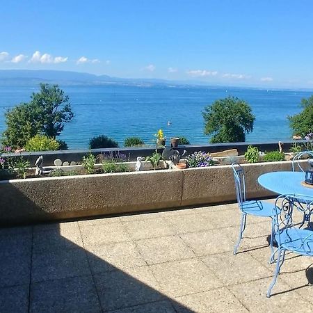 Lakefront. Appartement Pieds Dans L'Eau. View And Direct Access To The Lake. Anthy-sur-Leman 외부 사진