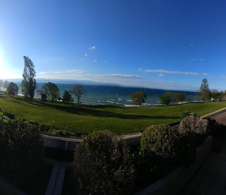 Lakefront. Appartement Pieds Dans L'Eau. View And Direct Access To The Lake. Anthy-sur-Leman 외부 사진