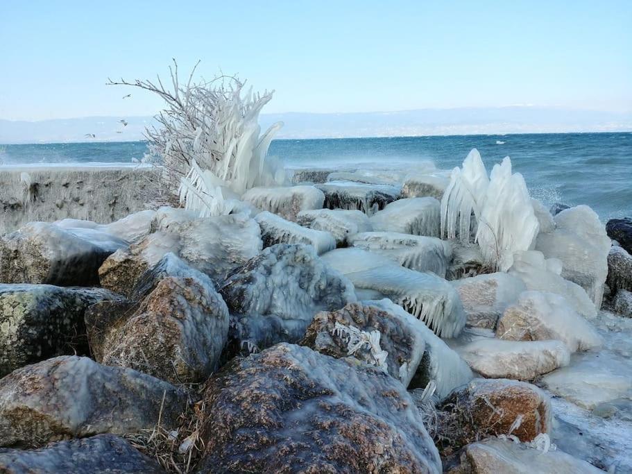 Lakefront. Appartement Pieds Dans L'Eau. View And Direct Access To The Lake. Anthy-sur-Leman 외부 사진